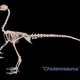Illustration for article titled Paleontologist explains how to make dinosaurs from chickens